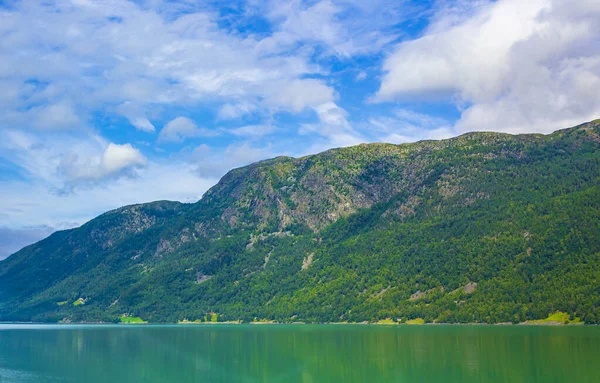 Turkuaz yeşil su, Norveç 'in dağları ve ormanları arasında fiyort nehrinde akar..