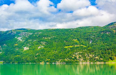 Turkuaz yeşil su, Norveç 'in dağları ve ormanları arasında fiyort nehrinde akar..