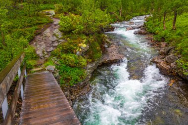 Utladalen Norveç 'teki güzel turkuaz nehir köprüsü ve şelale Vettisfossen Norveç' in en güzel Norveç manzaraları.