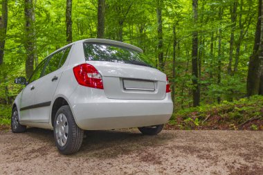 Yeşil orman manzarasına ve arabalara park edilmiş beyaz araba..