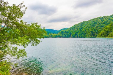 Plitvice Lakes Ulusal Parkı Hırvatistan 'da turkuaz mavi ve yeşil sularla renklendirilmiş manzara.