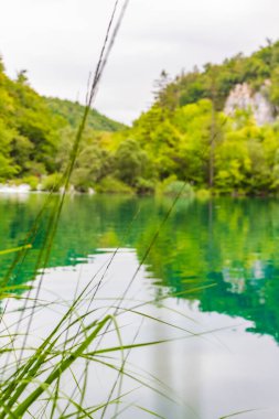 Hırvatistan 'da turkuaz mavi ve yeşil su önündeki Plitvice Gölleri Ulusal Parkı çimenleri.