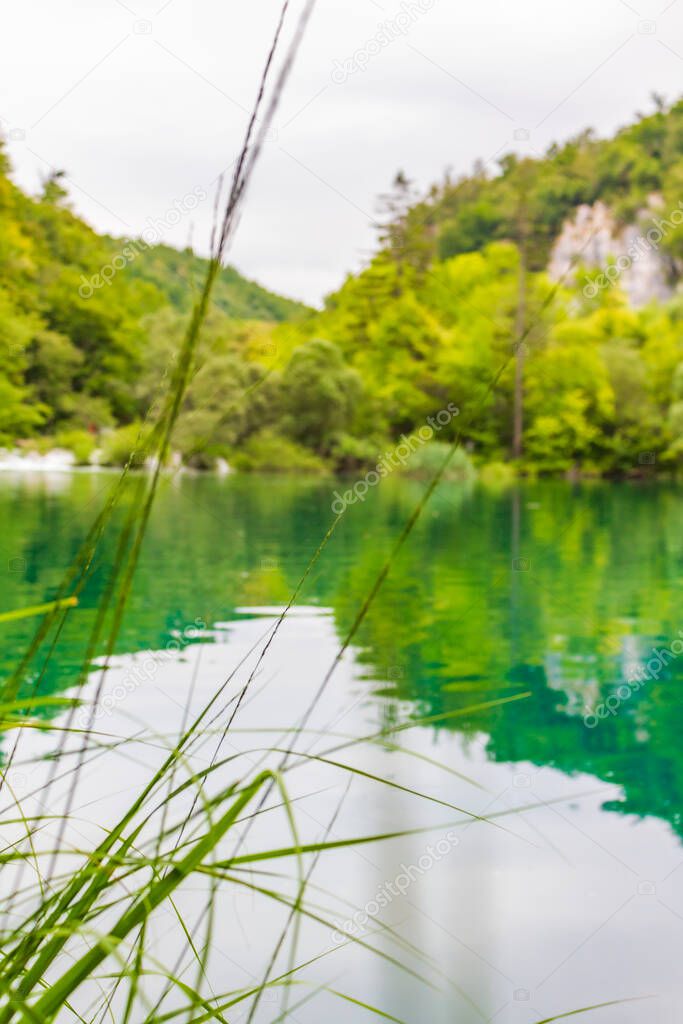 Plitvice Lakes National Park grass in front of turquoise blue and green water in Croatia.