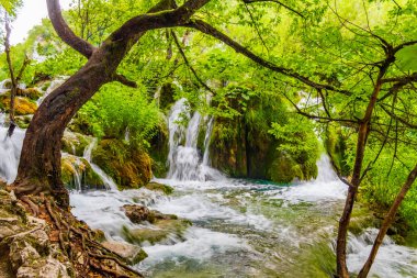 Plitvice Lakes Ulusal Parkı şelalesi Hırvatistan 'da turkuaz mavi ve yeşil sularla çevrili.