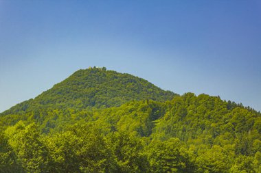 Slovenya 'da mavi bulutlu gökyüzü ile muhteşem dağ ve orman manzarası.