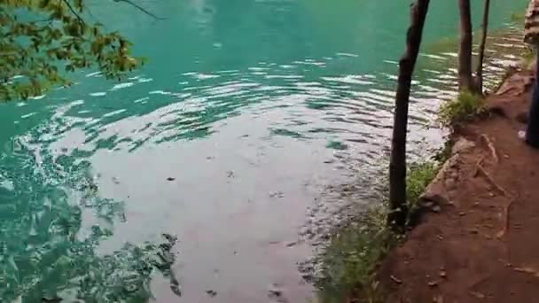Plitvice Gölleri Ulusal Parkı Hırvatistan Altında Temiz Turkuaz Avlıyor — Stok video