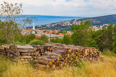 Novi Vinodolski Hırvatistan 'da ormanın kenarında ağaç gövdeleri bulunuyor.