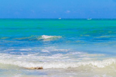 Playa del Carmen Meksika 'da tropik Meksika plajı 88 Punta Esmeralda.