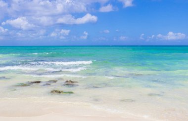 Playa del Carmen Meksika 'da tropik Meksika plajı 88 Punta Esmeralda.