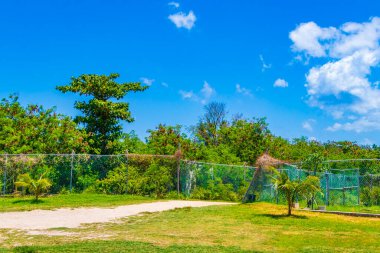 Playa del Carmen Meksika 'daki doğal kulübeler arasındaki 88 nolu tropikal Meksika plajının girişi ve yolu.