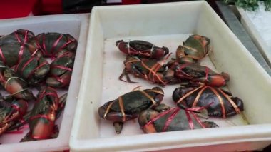 Deniz ürünleri canlı yengeçler kabuklu deniz hayvanları Tayland pazarı Çin kenti Bangkok.