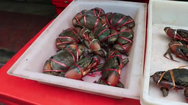 Tenger Gyümölcsei Élő Rákok Kagylók Rákfélék Thai Piac China Town — Stock videók