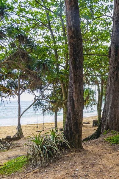 Nai Thon Naithon Beach Een Droom Baai Uitzicht Achter Bomen — Stockfoto