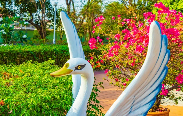 Mooie Zwaan Figuur Een Park Tussen Groene Natuur Bangkok Thailand — Stockfoto