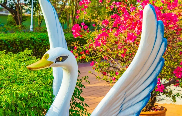 Bonita Figura Cisne Parque Entre Natureza Verde Bangkok Tailândia — Fotografia de Stock