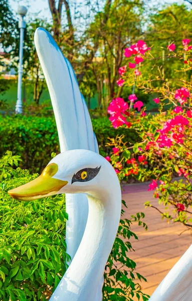 Bonita Figura Cisne Parque Entre Natureza Verde Bangkok Tailândia — Fotografia de Stock