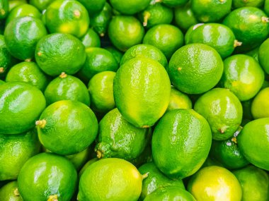 Playa del Carmen Meksika 'dan yeşil ıhlamur arkaplan dokusu.