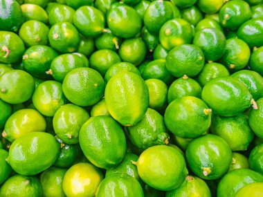 Playa del Carmen Mexico 'dan yeşil limon yeşili arkaplan dokusu.