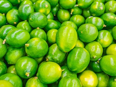 Playa del Carmen Meksika 'dan yeşil ıhlamur arkaplan dokusu.