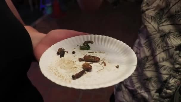 Vente Nourriture Thaïlandaise Mangeant Des Insectes Khaosan Khao San Road — Video