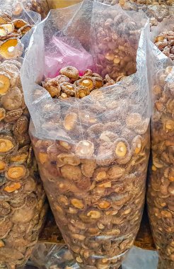 Markette kurutulmuş mantar. Tayland yemeği. Çin Mahallesi Bangkok Tayland..