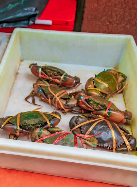 Fisk Och Skaldjur Blå Levande Krabbor Musslor Ostron Och Hummer — Stockfoto