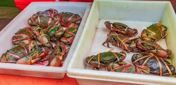 Fisk Och Skaldjur Blå Levande Krabbor Musslor Ostron Och Hummer — Stockfoto