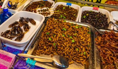 Bangkok Tayland 22 numara. Mai 2018 İğrenç Tayland yemeği ve böcek satışı Bangkok Tayland 'da Khaosan Khao San Kaosan Yolu' nda tüketim için.