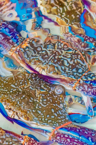 Deniz mahsulleri canlı yengeçler istiridye ve ıstakoz Çin 'in Bangkok kentinde Tayland market yemekleri.