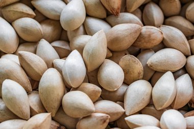 Çiğ Ginkgo Biloba doğal tohumları Ginkgo flavoneglycosides arkaplan dokusu Çin mutfağı Çin mutfağı Çin mahallesi Bangkok Tayland 'da sokak yemekleri pazarı.