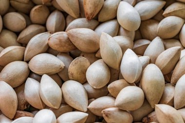 Çiğ Ginkgo Biloba doğal tohumları Ginkgo flavoneglycosides arkaplan dokusu Çin mutfağı Çin mutfağı Çin mahallesi Bangkok Tayland 'da sokak yemekleri pazarı.