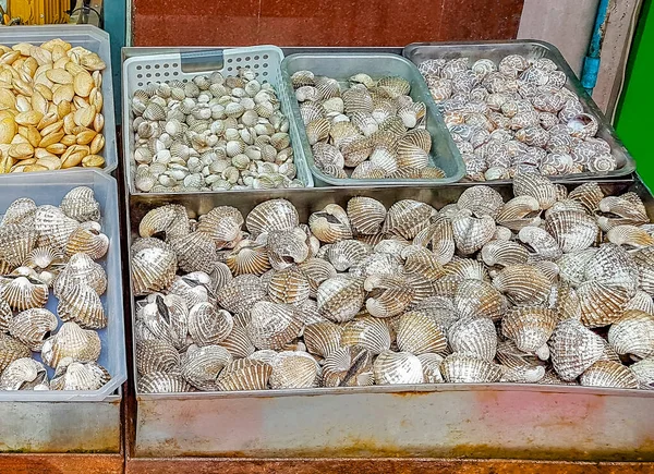 Deniz ürünleri yengeçleri istiridye ve ıstakoz Çin 'in Bangkok Tayland şehrinde Tayland market yemekleri.