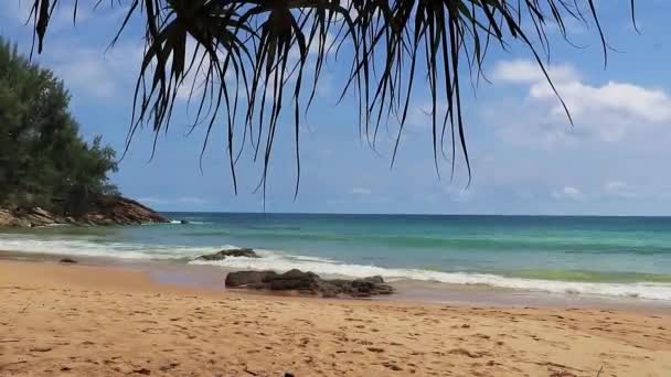 Nai Thon Naithon Beach Bakom Träd Phuket Thailand — Stockvideo