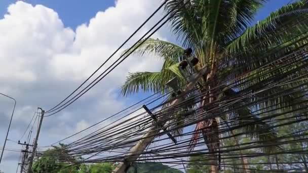 泰国普吉的电线杆被绝对的电缆混乱所推翻 — 图库视频影像