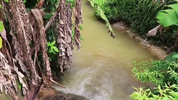 Küçük Akarsu Nehri Gölü Kahverengi Renk Phuket Tayland — Stok video