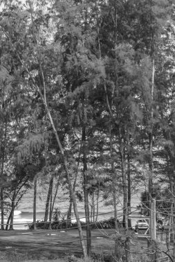 Nai Thon Naithon Sahili 'nin siyah beyaz resmi Sakhu Thalang Phuket Tayland' da ağaçların arkasında turkuaz berrak su manzarası.