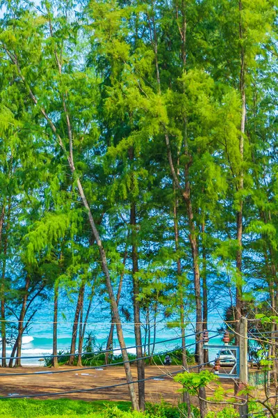 Nai Thon Naithon Plajı Sakhu Thalang Phuket Tayland Ağaçların Arkasında — Stok fotoğraf