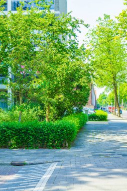 Groningen Hollanda 18. Haziran 2013 Cityscape Panorama binaları bisiklet arabaları yollar Groningen Holland Hollanda