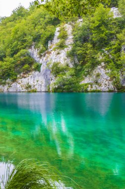 Plitvice Gölleri Ulusal Parkı Hırvatistan su manzarasını turkuvaz haline getirdi Avrupa 'nın En İyi Durgunlukları.
