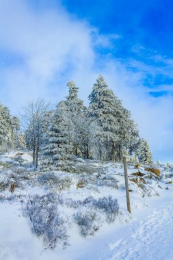 Buzlu köknar ağaçları ve Harz dağlarındaki Brocken Dağı 'nın manzarasına kar yağan Wernigerode Saksonya-Anhalt Almanya