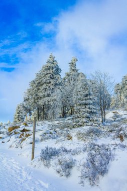 Buzlu köknar ağaçları ve Harz dağlarındaki Brocken Dağı 'nın manzarasına kar yağan Wernigerode Saksonya-Anhalt Almanya