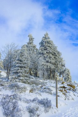 Buzlu köknar ağaçları ve Harz dağlarındaki Brocken Dağı 'nın manzarasına kar yağan Wernigerode Saksonya-Anhalt Almanya