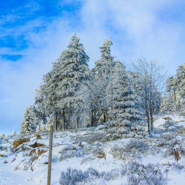 Buzlu köknar ağaçları ve Harz dağlarındaki Brocken Dağı 'nın manzarasına kar yağan Wernigerode Saksonya-Anhalt Almanya