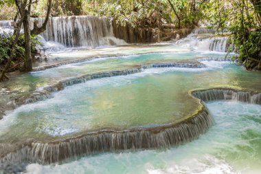 Luang Prabang Laos 'taki en güzel şelale Turkuaz Kuang Si şelalesi..