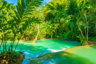 Luang Prabang Laos 'taki en güzel şelale Turkuaz Kuang Si şelalesi..