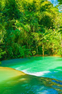 Luang Prabang Laos 'taki en güzel şelale Turkuaz Kuang Si şelalesi..