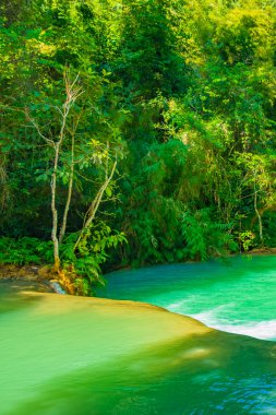 Luang Prabang Laos 'taki en güzel şelale Turkuaz Kuang Si şelalesi..