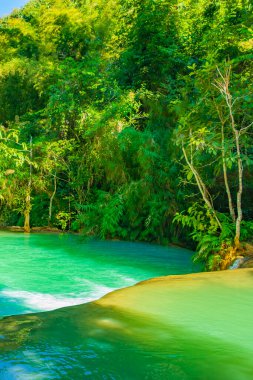 Luang Prabang Laos 'taki en güzel şelale Turkuaz Kuang Si şelalesi..
