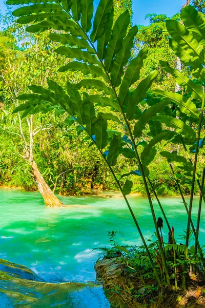 Världens Vackraste Vattenfall Turkos Kuang Vattenfall Luang Prabang Laos — Stockfoto