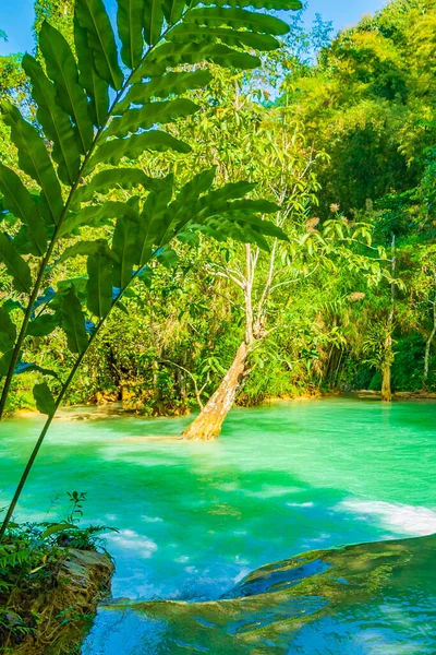 Mondes Belles Cascades Turquoise Kuang Cascade Luang Prabang Laos — Photo